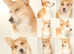 Portrait of Linus